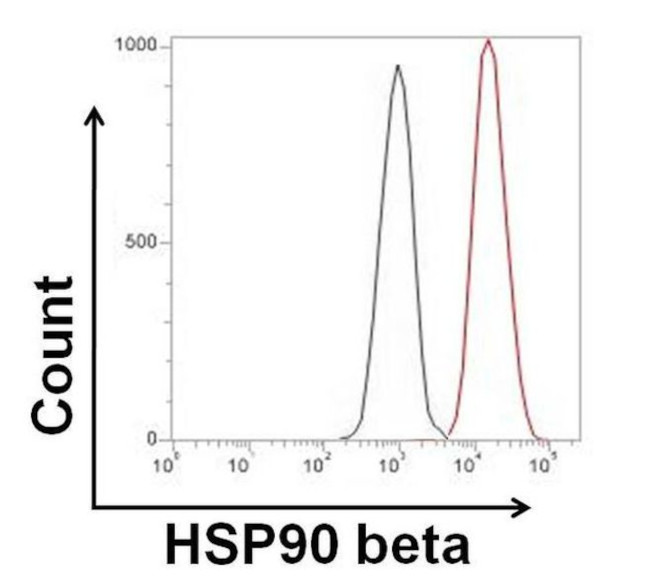 HSP90 beta Antibody in Flow Cytometry (Flow)
