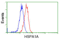 HSPA1A Antibody in Flow Cytometry (Flow)