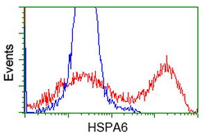 HSPA6 Antibody in Flow Cytometry (Flow)