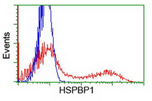 HSPBP1 Antibody in Flow Cytometry (Flow)