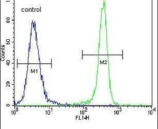IDH1 Antibody in Flow Cytometry (Flow)