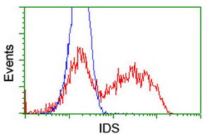 IDS Antibody in Flow Cytometry (Flow)