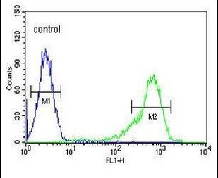 IGF2BP1 Antibody in Flow Cytometry (Flow)