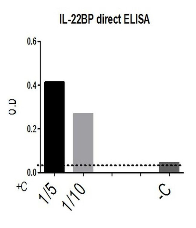 IL22RA2 Antibody in ELISA (ELISA)