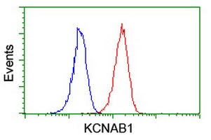 KCNAB1 Antibody in Flow Cytometry (Flow)