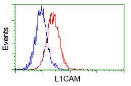 L1CAM Antibody in Flow Cytometry (Flow)