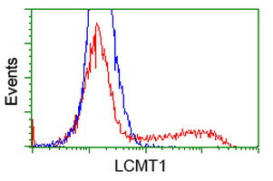 LCMT1 Antibody in Flow Cytometry (Flow)