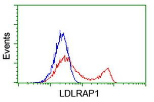 LDLRAP1 Antibody in Flow Cytometry (Flow)