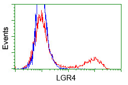LGR4 Antibody in Flow Cytometry (Flow)