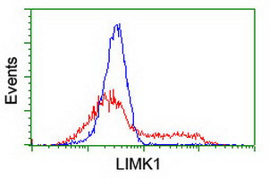 LIMK1 Antibody in Flow Cytometry (Flow)