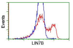 LIN7B Antibody in Flow Cytometry (Flow)