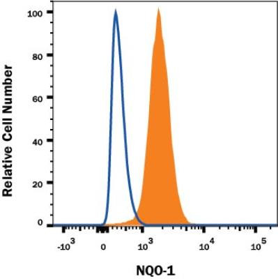 NQO1 Antibody in Flow Cytometry (Flow)