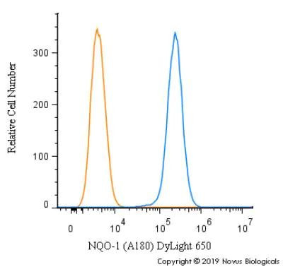 NQO1 Antibody in Flow Cytometry (Flow)