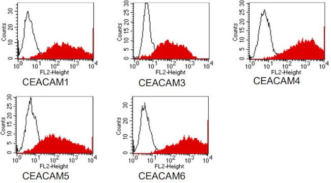 CD66 (CEACAM) Antibody in Flow Cytometry (Flow)