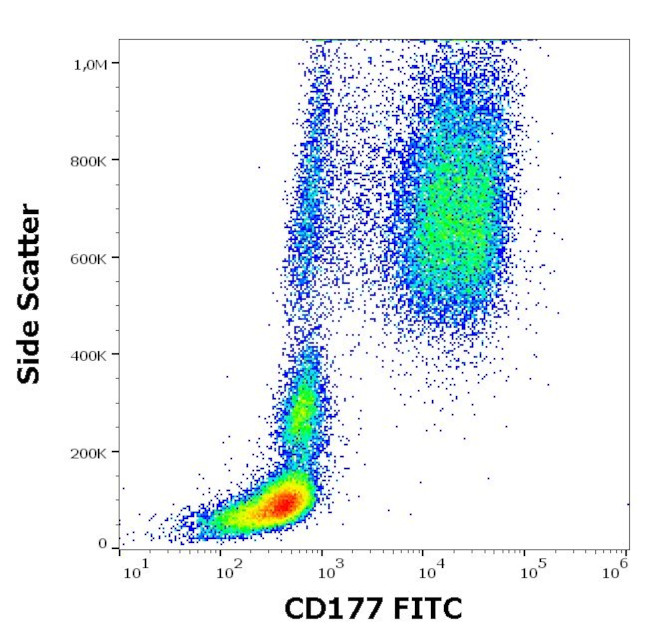 CD177 Antibody in Flow Cytometry (Flow)