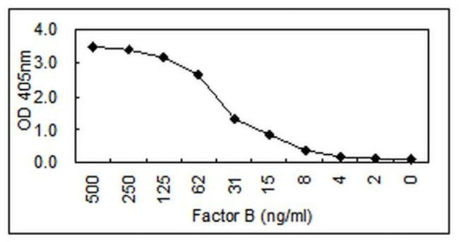 Complement Factor B Antibody in ELISA (ELISA)
