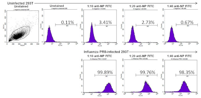 Influenza A NP Antibody in Flow Cytometry (Flow)