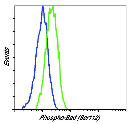 Phospho-BAD (Ser112) Antibody in Flow Cytometry (Flow)