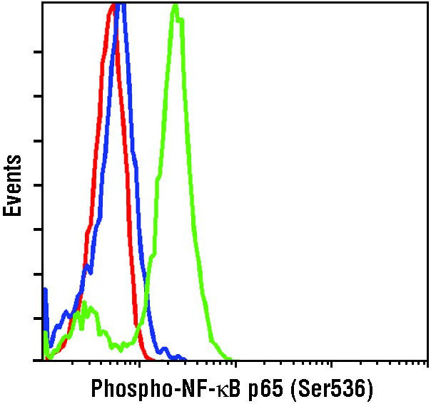Phospho-NFkB p65 (Ser536) Antibody in Flow Cytometry (Flow)