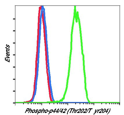 Phospho-ERK1/ERK2 (Tyr204) Antibody in Flow Cytometry (Flow)