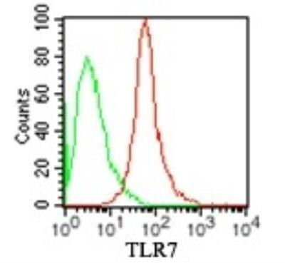TLR7 Antibody in Flow Cytometry (Flow)