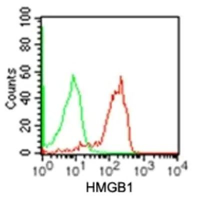 HMGB1 Antibody in Flow Cytometry (Flow)