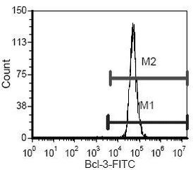 Bcl-3 Antibody in Flow Cytometry (Flow)