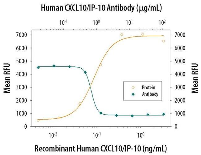 CXCL10 Antibody