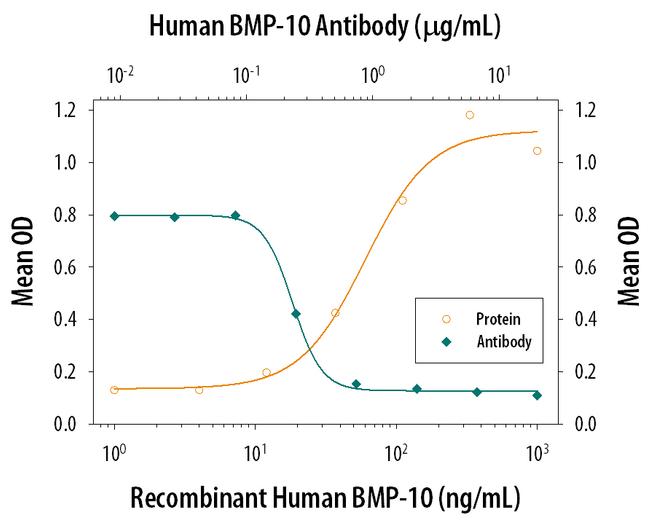 BMP-10 Antibody in Neutralization (Neu)