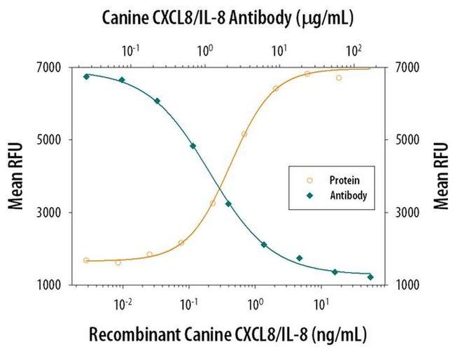 IL-8 (CXCL8) Antibody