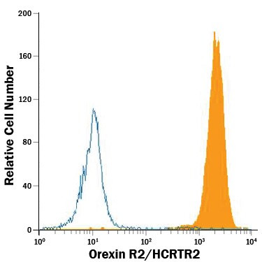 Orexin Receptor 2 Antibody in Flow Cytometry (Flow)