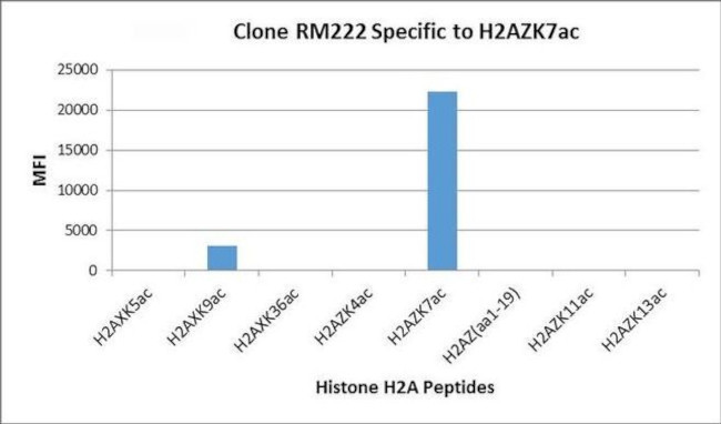 H2A.ZK7ac Antibody in Peptide array (ARRAY)