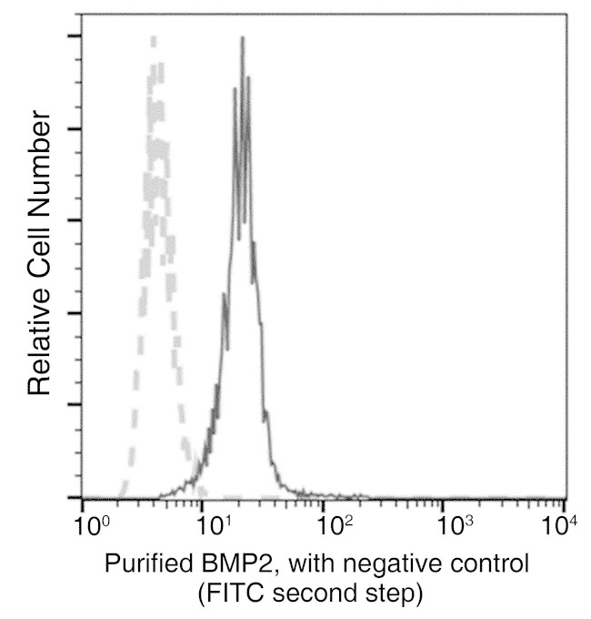BMP-2 Antibody in Flow Cytometry (Flow)