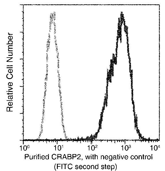 CRABP2 Antibody in Flow Cytometry (Flow)