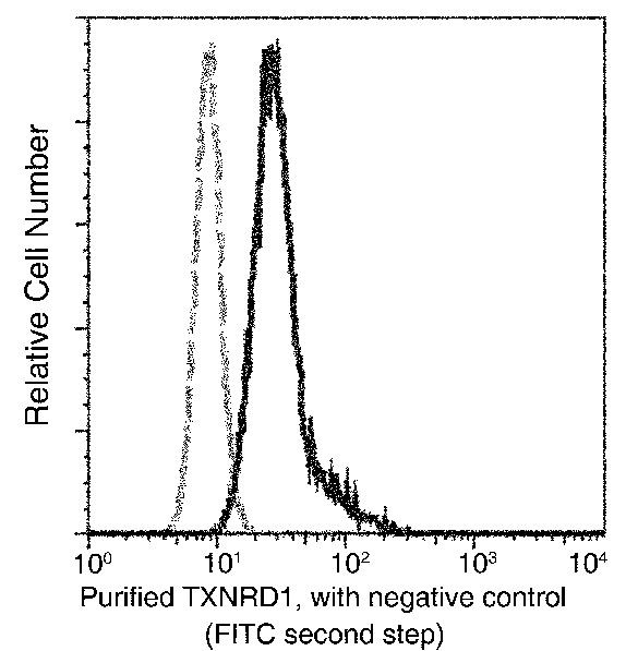 TrxR1 Antibody in Flow Cytometry (Flow)