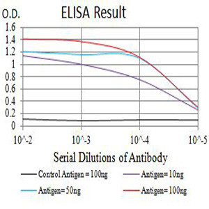 Arp3 Antibody in ELISA (ELISA)