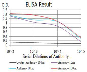ATRX Antibody in ELISA (ELISA)