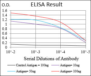 CaMKII gamma Antibody in ELISA (ELISA)