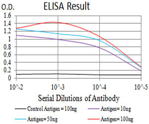 CHRND Antibody in ELISA (ELISA)