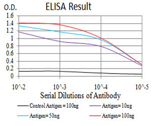 HOXA9 Antibody in ELISA (ELISA)