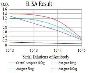 P2Y1 Antibody in ELISA (ELISA)