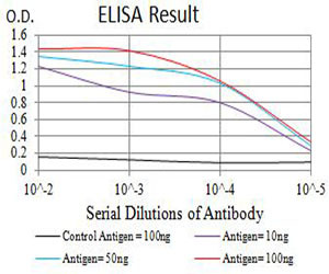 P2Y1 Antibody in ELISA (ELISA)
