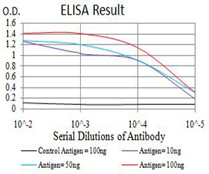 Phospho-4EBP1 (Ser65) Antibody in ELISA (ELISA)