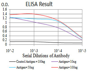 PRDM5 Antibody in ELISA (ELISA)
