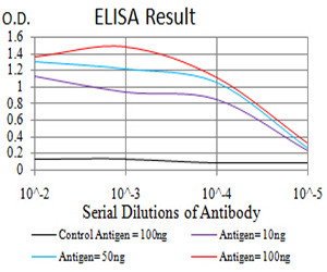 RAB6B Antibody in ELISA (ELISA)