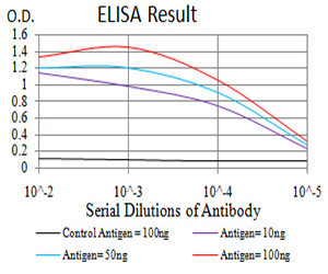 RAD52 Antibody in ELISA (ELISA)