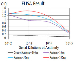 Synapsin 1 Antibody in ELISA (ELISA)