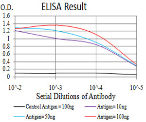 XRN2 Antibody in ELISA (ELISA)