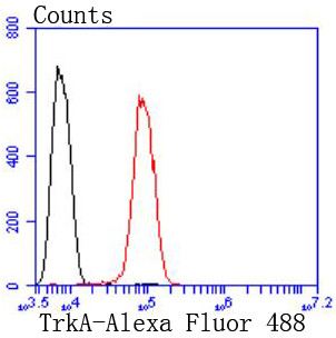 TrkA Antibody in Flow Cytometry (Flow)
