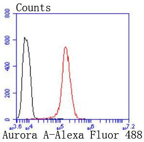 Aurora A Antibody in Flow Cytometry (Flow)